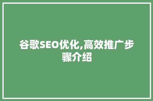 谷歌SEO优化,高效推广步骤介绍 必应SEO