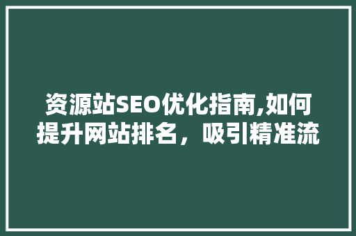 资源站SEO优化指南,如何提升网站排名，吸引精准流量