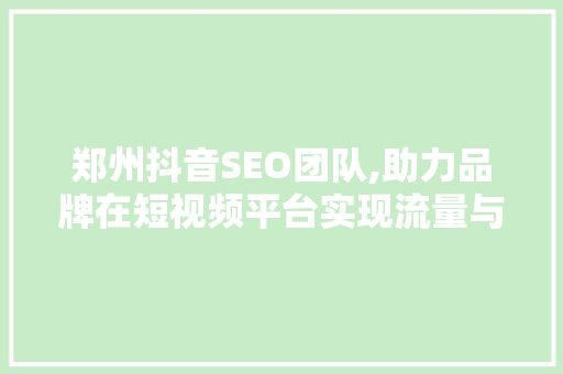 郑州抖音SEO团队,助力品牌在短视频平台实现流量与转化双丰收 搜狗SEO