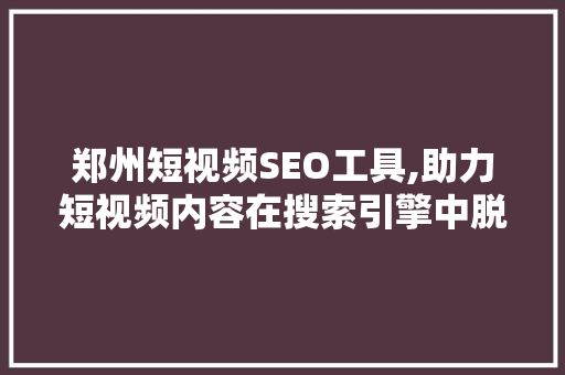 郑州短视频SEO工具,助力短视频内容在搜索引擎中脱颖而出 百度SEO