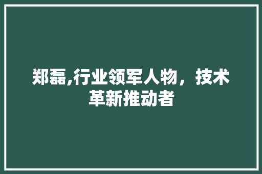 郑磊,行业领军人物，技术革新推动者 搜狗SEO