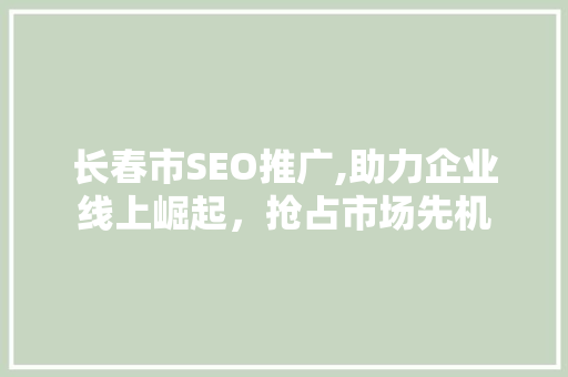 长春市SEO推广,助力企业线上崛起，抢占市场先机 百度SEO