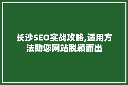 长沙SEO实战攻略,适用方法助您网站脱颖而出