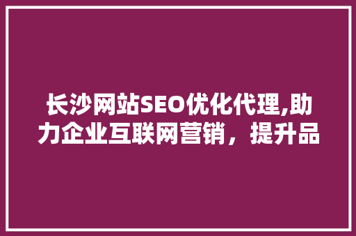 长沙网站SEO优化代理,助力企业互联网营销，提升品牌竞争力