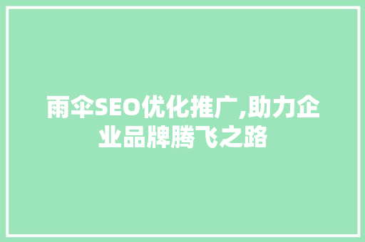 雨伞SEO优化推广,助力企业品牌腾飞之路 神马SEO