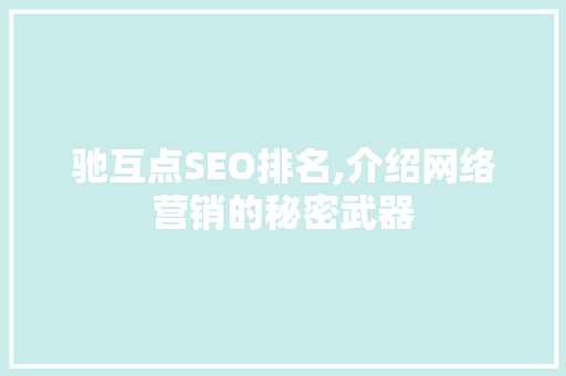 驰互点SEO排名,介绍网络营销的秘密武器 神马SEO