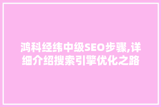 鸿科经纬中级SEO步骤,详细介绍搜索引擎优化之路