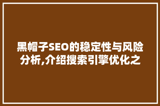 黑帽子SEO的稳定性与风险分析,介绍搜索引擎优化之路 搜狗SEO