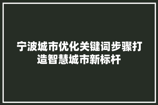 宁波城市优化关键词步骤打造智慧城市新标杆 必应SEO
