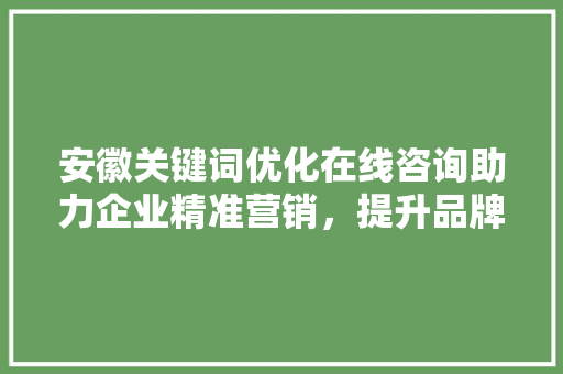安徽关键词优化在线咨询助力企业精准营销，提升品牌影响力 GoogleSEO