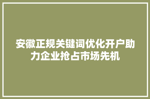 安徽正规关键词优化开户助力企业抢占市场先机 GoogleSEO