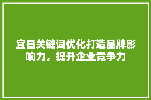 宜昌关键词优化打造品牌影响力，提升企业竞争力 百度SEO