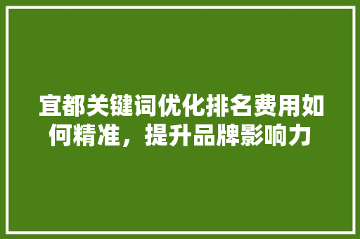 宜都关键词优化排名费用如何精准，提升品牌影响力