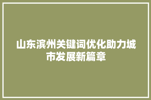 山东滨州关键词优化助力城市发展新篇章 神马SEO