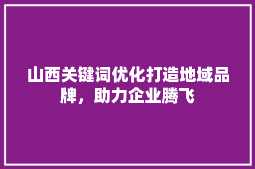 山西关键词优化打造地域品牌，助力企业腾飞 百度SEO