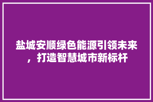 盐城安顺绿色能源引领未来，打造智慧城市新标杆