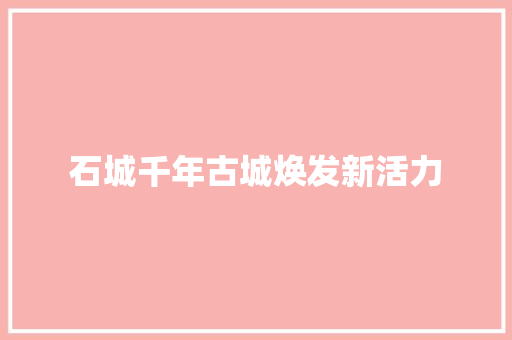 石城千年古城焕发新活力 神马SEO