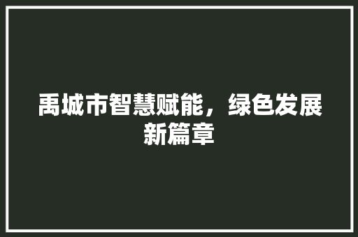 禹城市智慧赋能，绿色发展新篇章 百度SEO