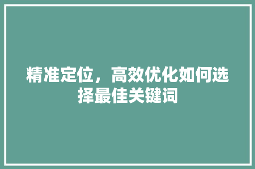 精准定位，高效优化如何选择最佳关键词 GoogleSEO