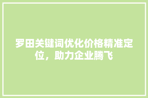 罗田关键词优化价格精准定位，助力企业腾飞 神马SEO
