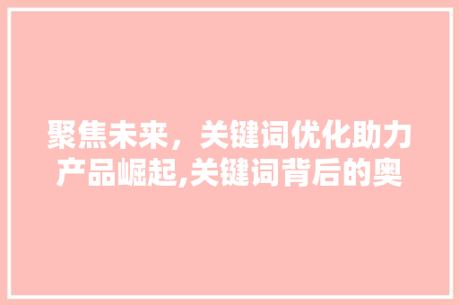 聚焦未来，关键词优化助力产品崛起,关键词背后的奥秘 神马SEO