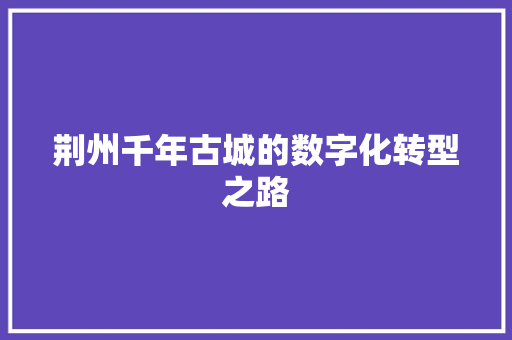 荆州千年古城的数字化转型之路 百度SEO