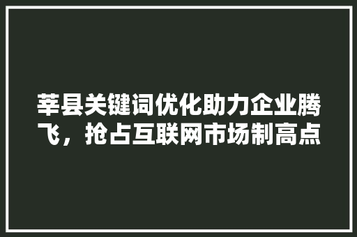 莘县关键词优化助力企业腾飞，抢占互联网市场制高点 必应SEO