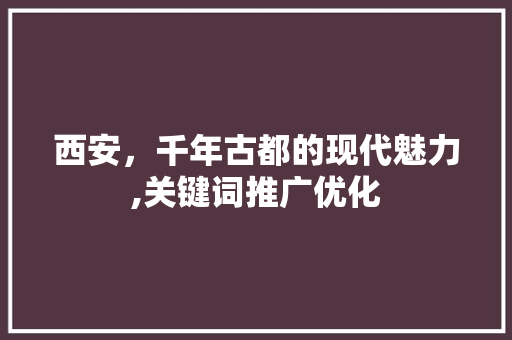 西安，千年古都的现代魅力,关键词推广优化 百度SEO