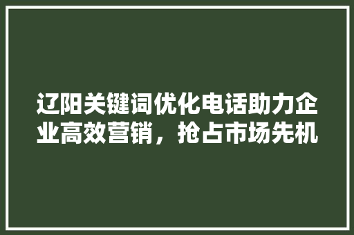 辽阳关键词优化电话助力企业高效营销，抢占市场先机 必应SEO