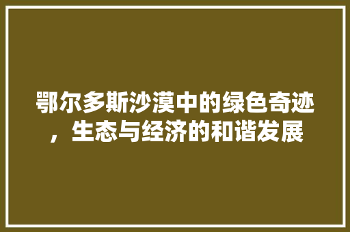鄂尔多斯沙漠中的绿色奇迹，生态与经济的和谐发展 GoogleSEO