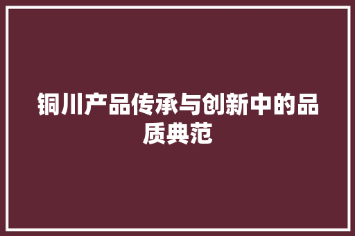 铜川产品传承与创新中的品质典范 百度SEO