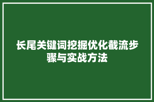长尾关键词挖掘优化截流步骤与实战方法 百度SEO