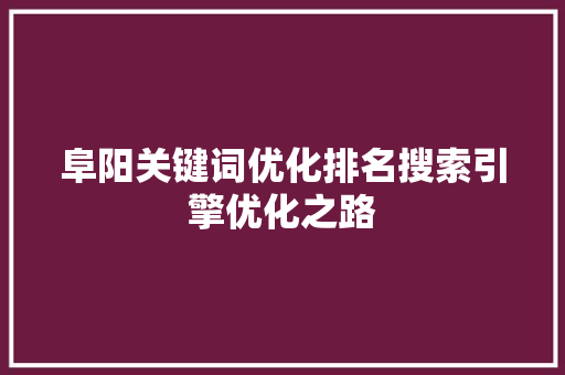 阜阳关键词优化排名搜索引擎优化之路