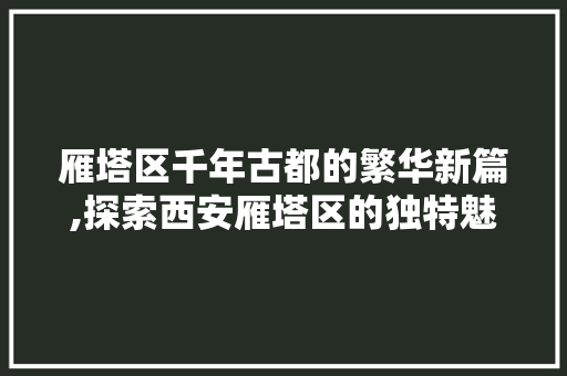 雁塔区千年古都的繁华新篇,探索西安雁塔区的独特魅力 必应SEO