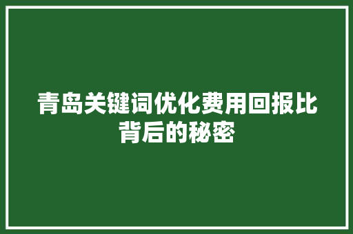 青岛关键词优化费用回报比背后的秘密 神马SEO