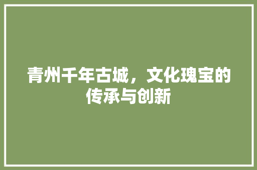 青州千年古城，文化瑰宝的传承与创新 神马SEO