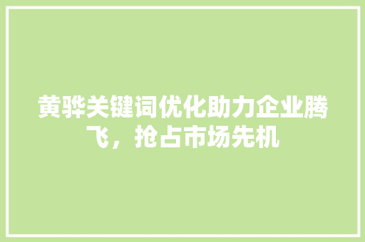 黄骅关键词优化助力企业腾飞，抢占市场先机