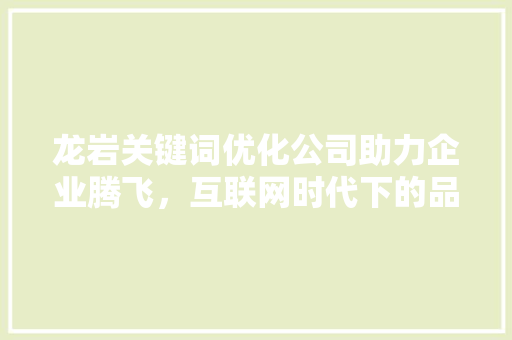 龙岩关键词优化公司助力企业腾飞，互联网时代下的品牌崛起之路 百度SEO
