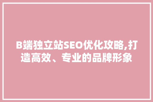 B端独立站SEO优化攻略,打造高效、专业的品牌形象 必应SEO