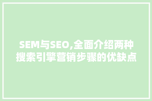 SEM与SEO,全面介绍两种搜索引擎营销步骤的优缺点 百度SEO