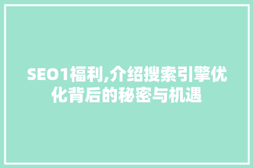 SEO1福利,介绍搜索引擎优化背后的秘密与机遇 GoogleSEO SEO1福利,介绍搜索引擎优化背后的秘密与机遇 GoogleSEO