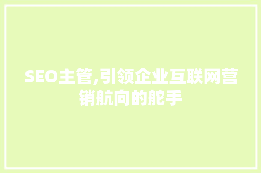SEO主管,引领企业互联网营销航向的舵手 必应SEO