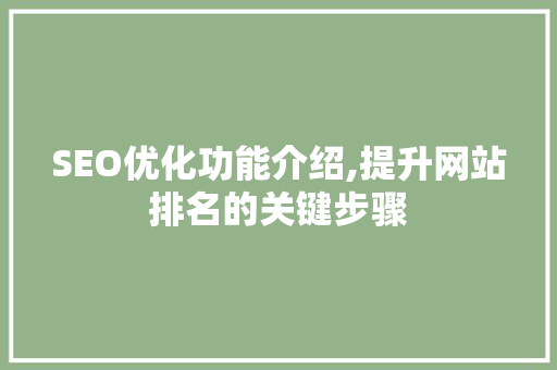 SEO优化功能介绍,提升网站排名的关键步骤 神马SEO