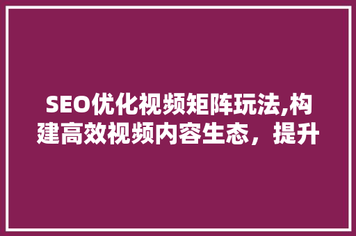SEO优化视频矩阵玩法,构建高效视频内容生态，提升网站排名