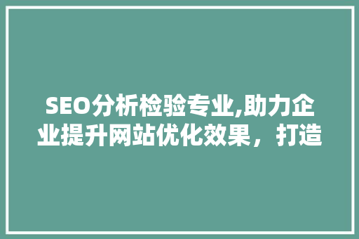 SEO分析检验专业,助力企业提升网站优化效果，打造网络品牌新高度
