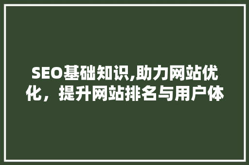SEO基础知识,助力网站优化，提升网站排名与用户体验 百度SEO
