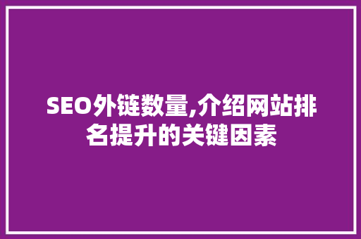 SEO外链数量,介绍网站排名提升的关键因素