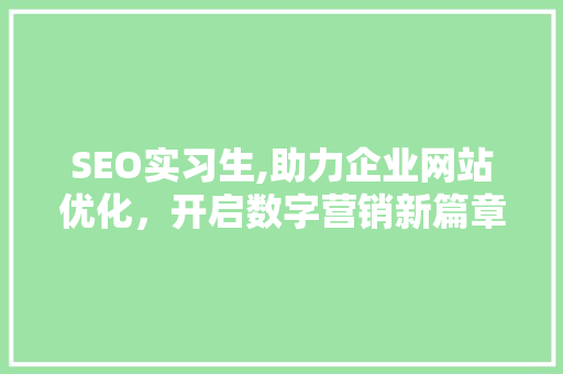 SEO实习生,助力企业网站优化，开启数字营销新篇章