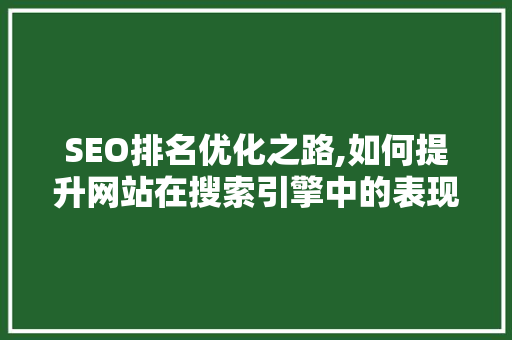 SEO排名优化之路,如何提升网站在搜索引擎中的表现 百度SEO