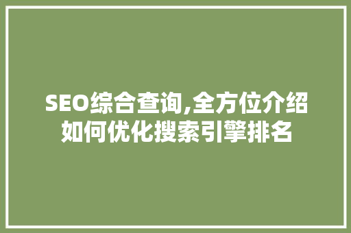 SEO综合查询,全方位介绍如何优化搜索引擎排名 必应SEO